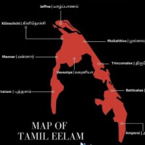 Group logo of Tamil Eelam post 2009